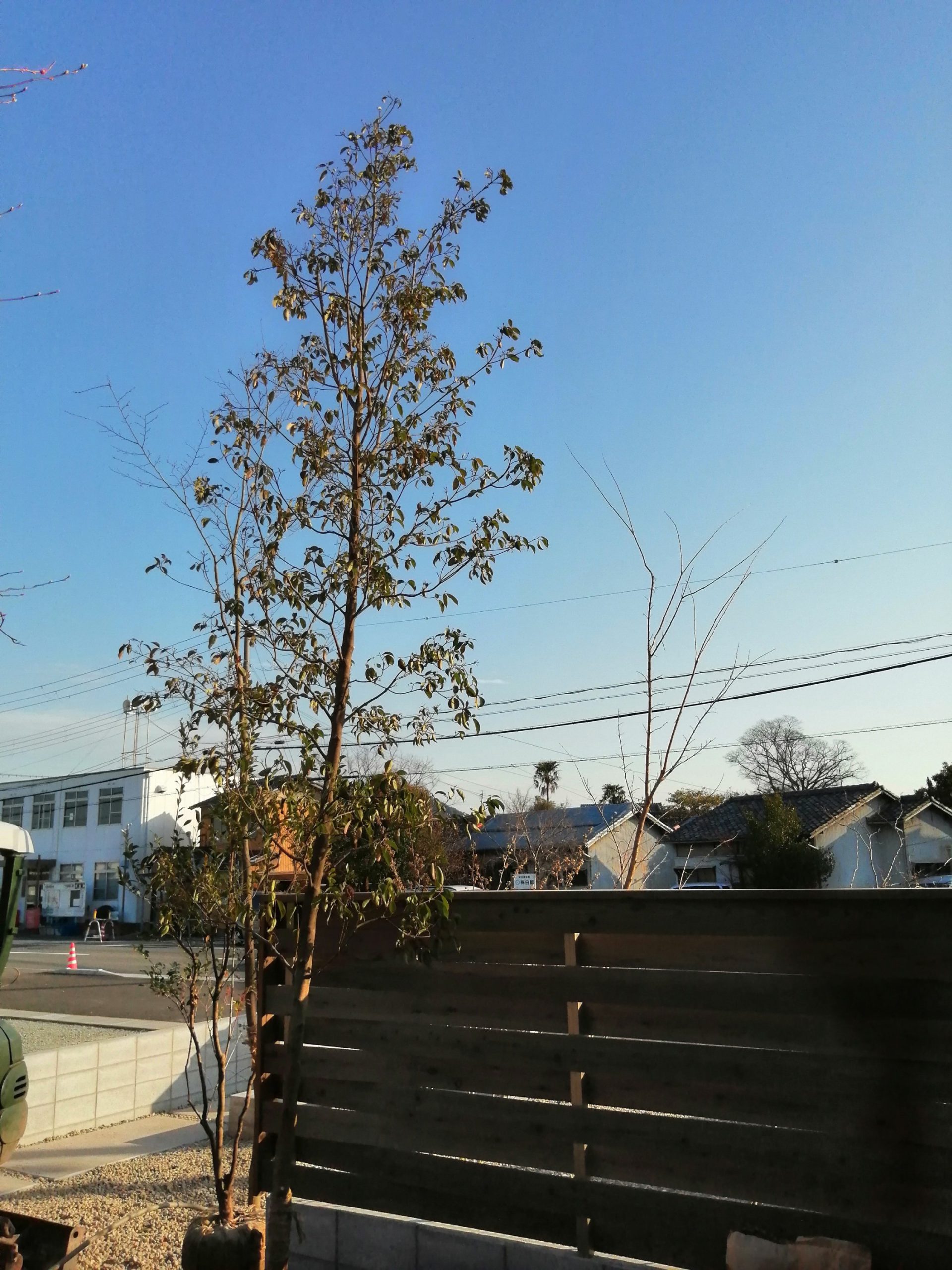 img_20200313_16213944007328012